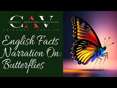 BERNARD CAMPBELL How Heigh Does A Butterfly Flies