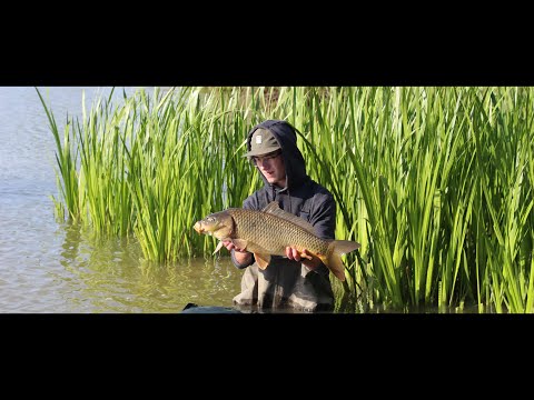 Carpfishing - Freedom | JHVIDEOPRODUCTION | Holubcův rybník