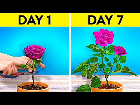 30 GARDEN HACKS THAT ACTUALLY WORK