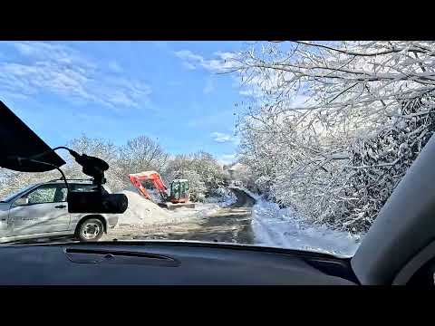 Comuna Bunila - Comuna Ghelari. 24.XI.2024.