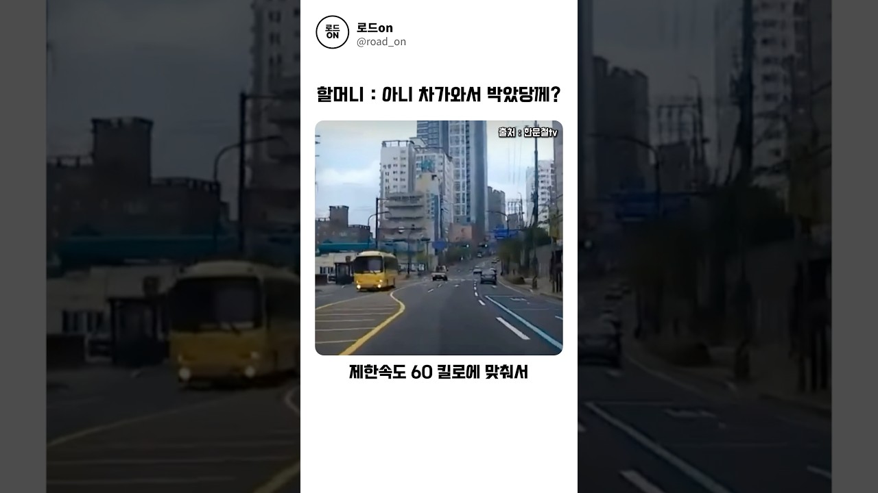 도로의 할머니의 주장 #블랙박스