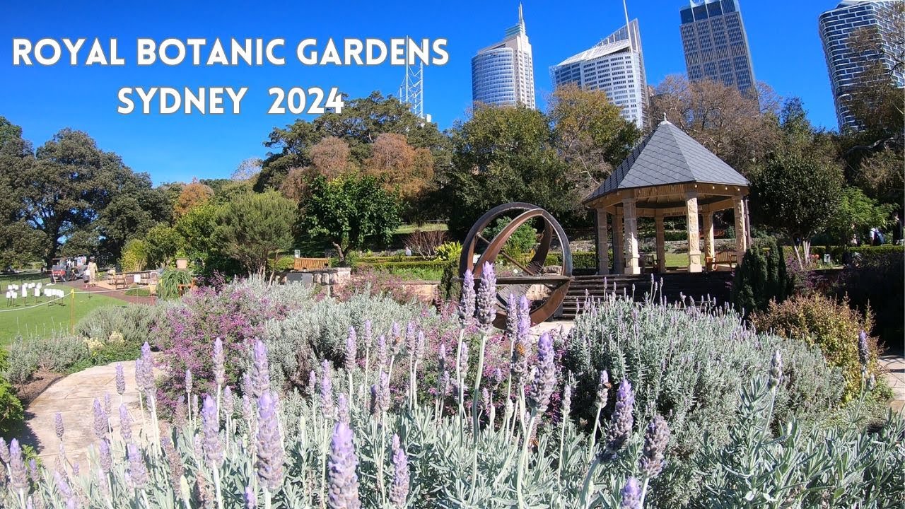 Experience an enchanting virtual tour of Royal Botanic Garden.