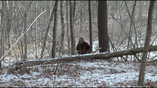 EXTREMELY AGITATED BIGFOOT CAUGHT ON TAPE