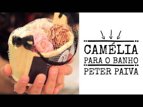 Camellia for Bath - Peter Paiva