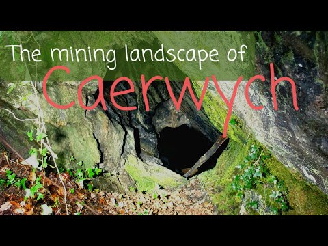 Mining landscape lost in the woods of Caerwych