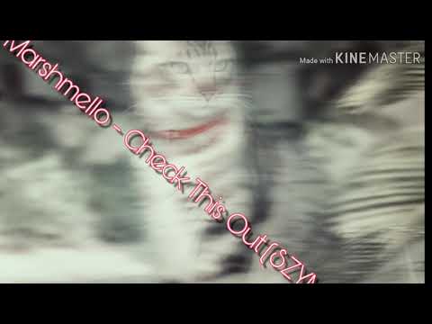 Marshmello - Check This Out (SZYMUŠ EDIT)