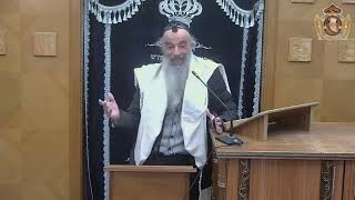 מעלת ימי השובבים,