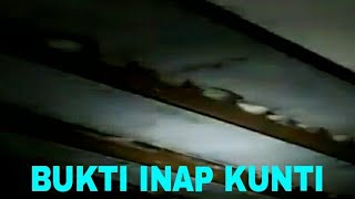 Download lagu suara inap walet terbaik suara inap kunti mp3