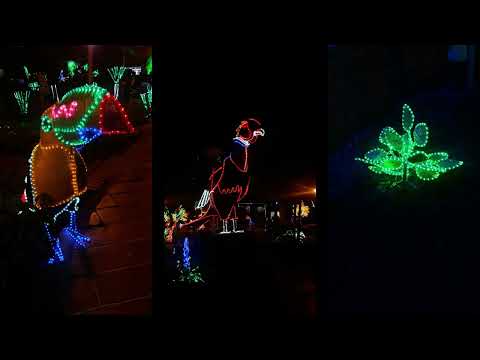 Alumbrado Navideño (Cucutilla, Diciembre de 2017)