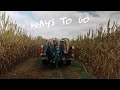 The Castellows Ways To Go Lyric Video