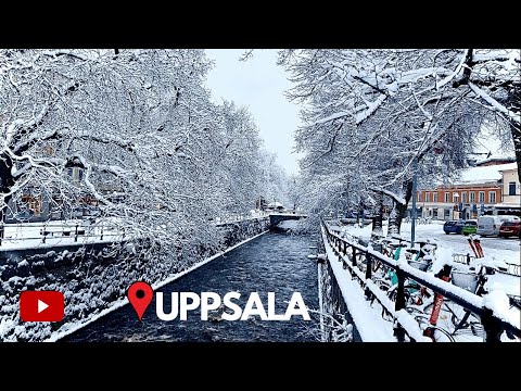 Winter Walk in Uppsala Sweden