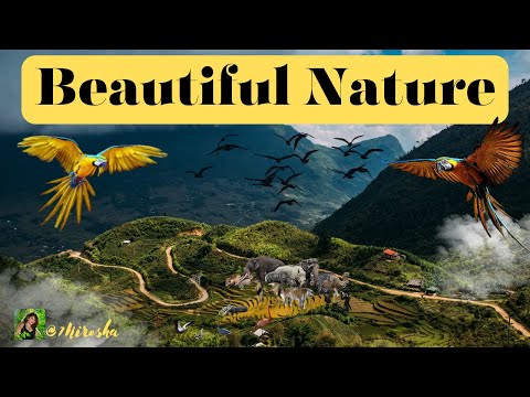 Beautiful Nature #NatureBeauty #WondersOfNature