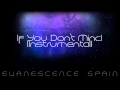 Evanescence If You Don't Mind Instrumental [HD ...