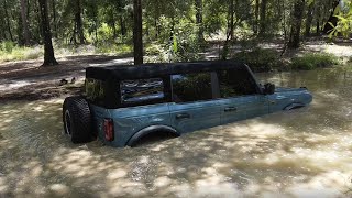 We Sunk A Ford Bronco | Citrus WMA Offroading
