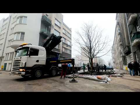 Ale lipa! Na ul. Lipowej w Łodzi posadzono największe drzewo