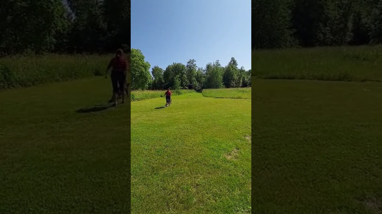 Moment 3 - Förföljande och gripande