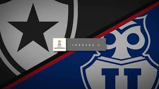 Fabián vs Botafogo