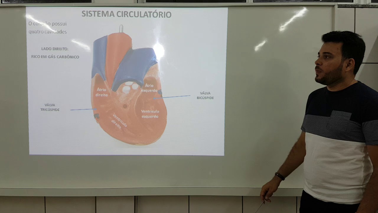 Cavidades do coração