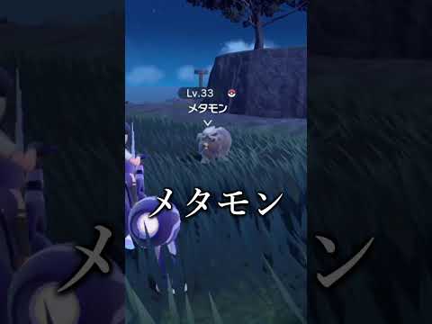 ウッドバイオレット、ワイルドバイオレット、ライヘンバッハバイオレット、ヴィオラライヘンバッキアナ