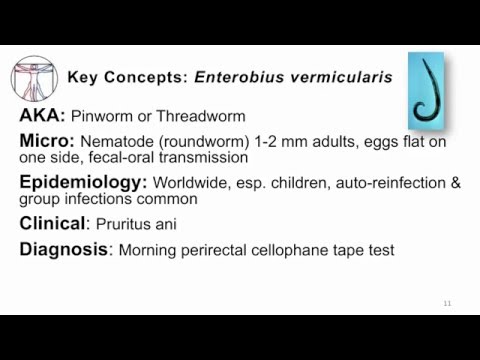 Enterobiosis kenet
