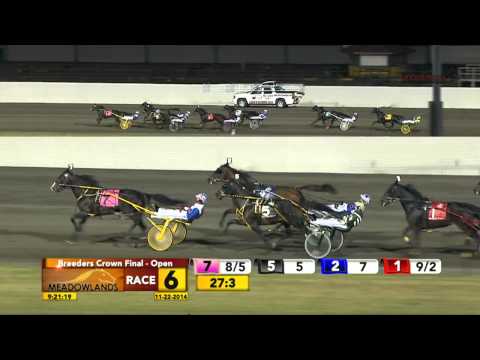 Breeders Crown Open Pace Final - Thinking Out Loud - November 22, 2014