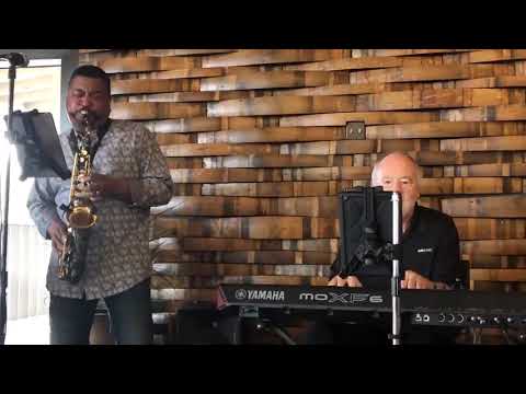 Promotional video thumbnail 3 for The Mike Hamilton duo