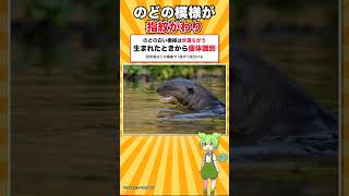 体長1.8mのカワウソが日本にいない理由 #shorts