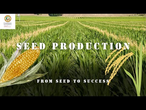 YouTube Video 1