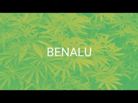 download lagu mp3 mp4 Benalu In English, download mp3 Benalu In English free download mp3, download mp3 Benalu In English
