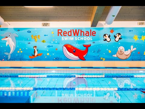 Red Whale Swim School - Bellevue, Suisse