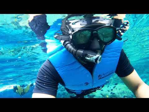 Rainbow Reef @ Adventure Cove Waterpark