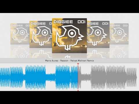 Mario Aureo - Passion - Patryk Molinari Remix