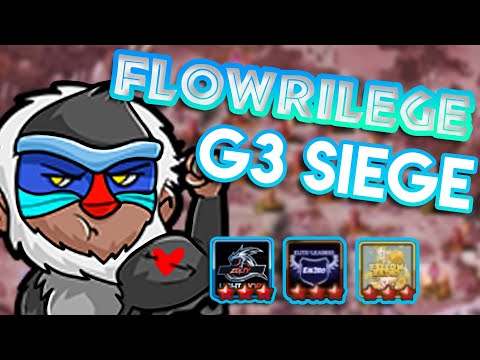 G3 Siege : Light Hope VS EliteLeaders VS YellowRadio BR