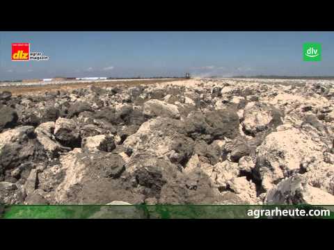 Italien - Ackerbau extrem (Teil 1: Poebene)