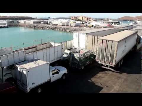 HerrLehmanns-Weltreise.de - Videopodcast #11 - Baja California