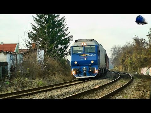 Horns Simphony by Isabella - Jimmy 65-0950-9 in Oradea [Autumn Edition] - 05 December 2014