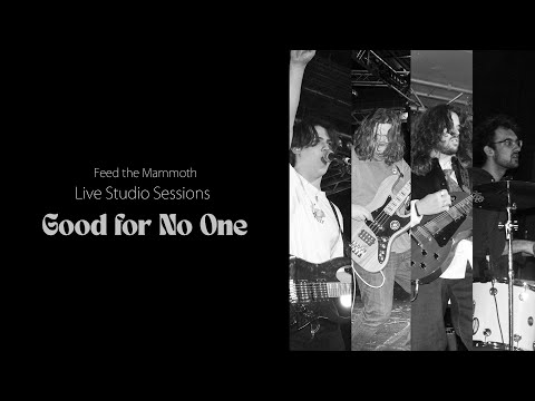 More - Feed the Mammoth