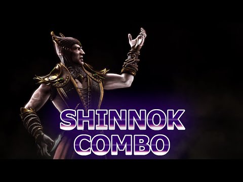 You have to watch this Shinnok Brutality Combo