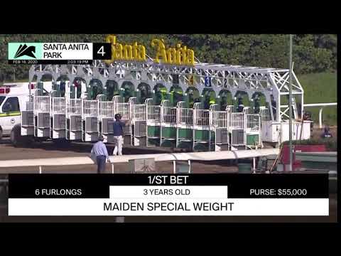 Charlatan debut the colt of 700.000$ easy 21.4 for the first quarter