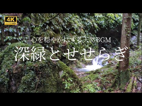 グリーンランドの憂慮すべき開発:「これはどこでも同時に起こっている」と研究者は言う