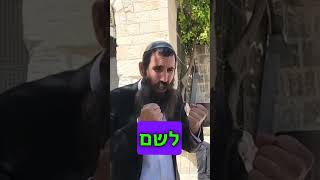 הר הבית בידינו?? #הר_הבית #גאולה #מקדש (ישיבת הר הבית) - התמונה מוצגת ישירות מתוך אתר האינטרנט יוטיוב. זכויות היוצרים בתמונה שייכות ליוצרה. קישור קרדיט למקור התוכן נמצא בתוך דף הסרטון