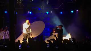 KMN Live Großstadtdschungel