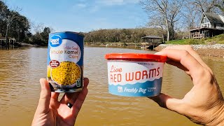 Simple and Easy Method for Catching BIG Fish with Grocery Store Baits and Worms