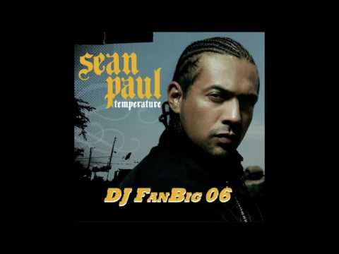 DJ FanBig 06 - Sean Paul / Temperature Remix Endless Summer 2016
