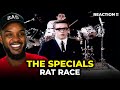 🎵 The Specials - Rat Race REACTION