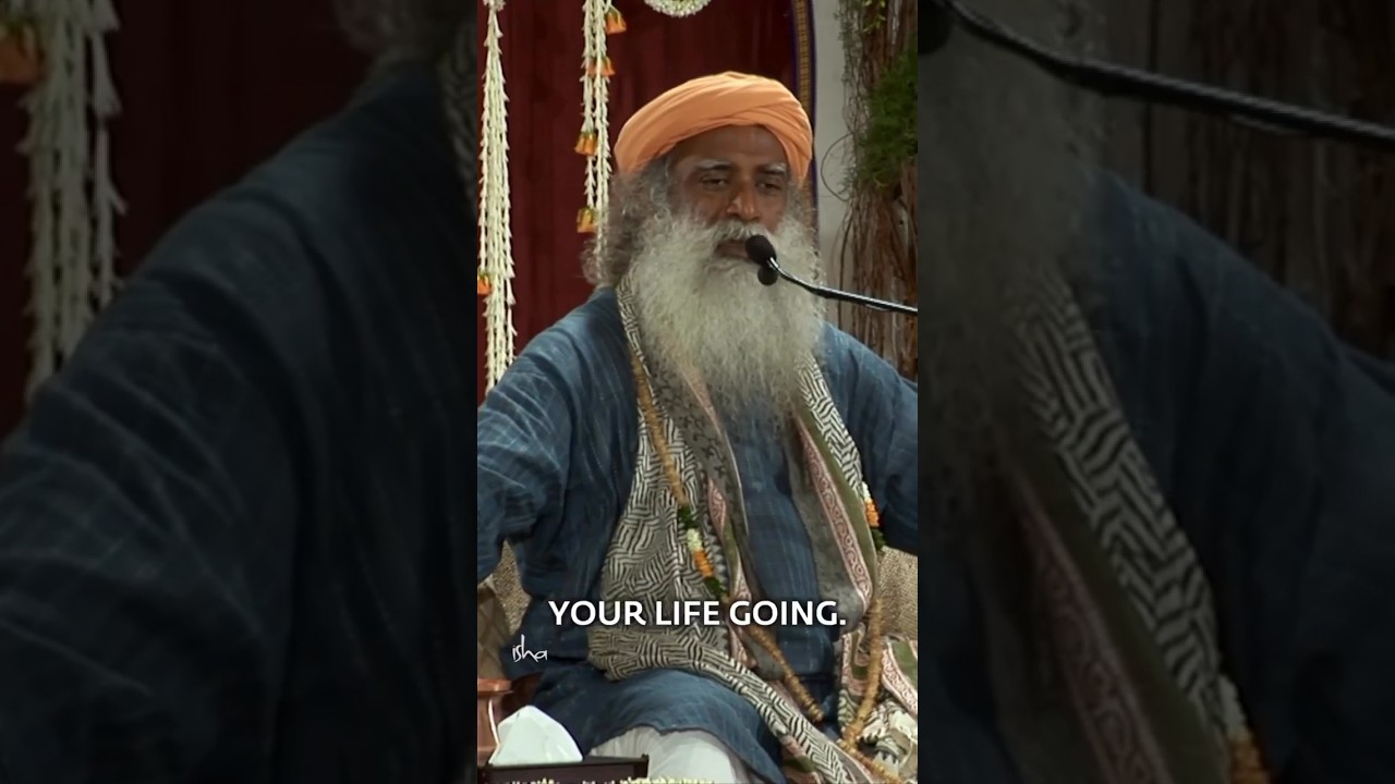 What is The Purpose Of Life? Why Are We Born?