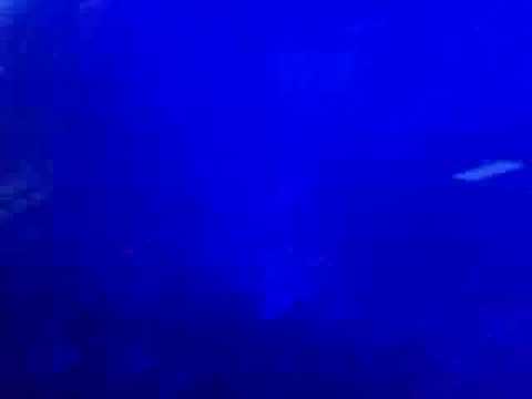 Andy Duguid featuring Leah -  Wasted Armin  at Haoman 17