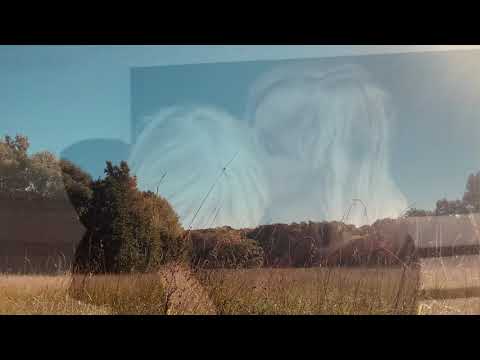 Ole "Goldener Herbst" (Offizielles Musikvideo)