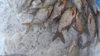 Зимния рыбалка на рузском водохранилище
