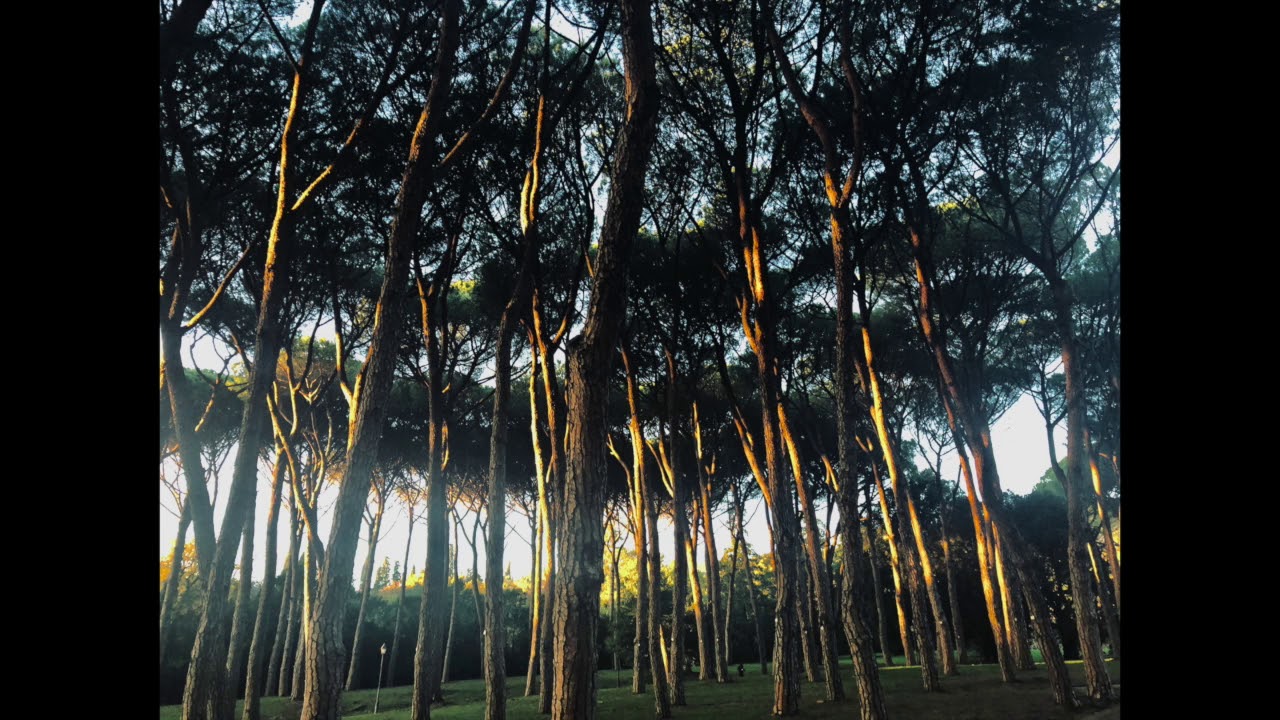 Vayu Pranayama | Il respiro del vento